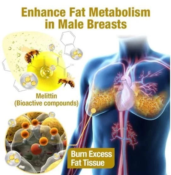 Chest Fat Bee Venom Gynecomastia Heating Oil - Trends Nest